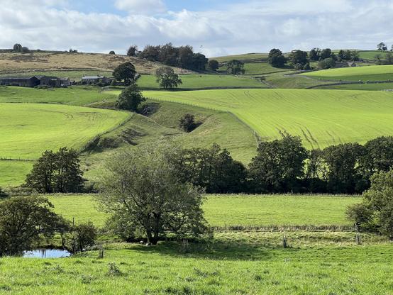 A picturesque rural landscape featuring rolling green fields, scattered trees, and a distant farm. The sky is partly cloudy, and a small pond is visible in the foreground.
