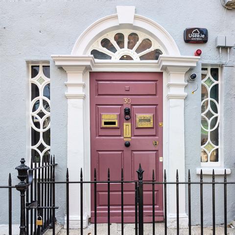 Purple door with intricate side lites and classic fanlight in Dublin Ireland. There is a lion knocker and 3 mailslots on the door.