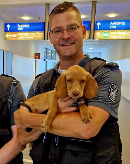 Zollbeamter am Flughafen mit einem Hundewelpen auf dem Arm, welcher ohne die notwendigen Papiere von einer Reisenden aus dem Ausland mitgebracht worden ist.