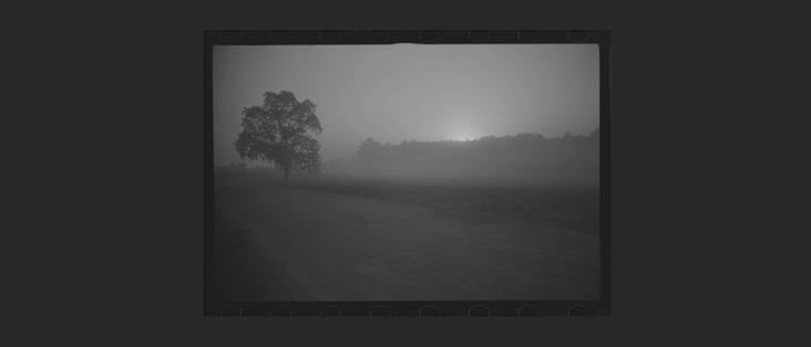Black and white photo of a misty covered rural road at dusk, a lone tree in the left of the frame.