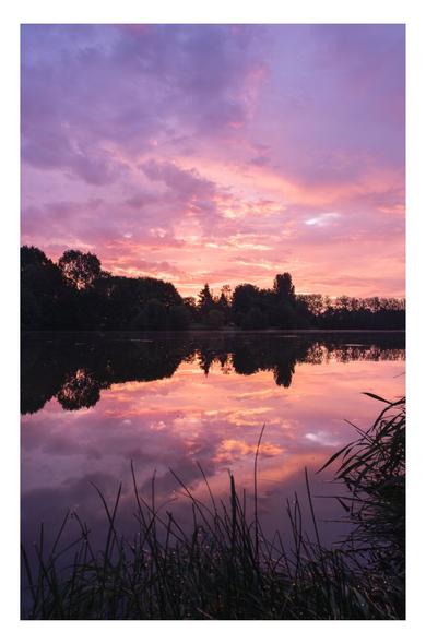 Un lever de soleil au bord d'un lac avec la lumière du ciel en reflet sur l'eau.