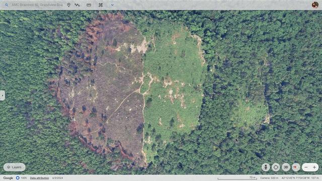 Google Earth imagery of Buck Hill from June 3rd, 2024.