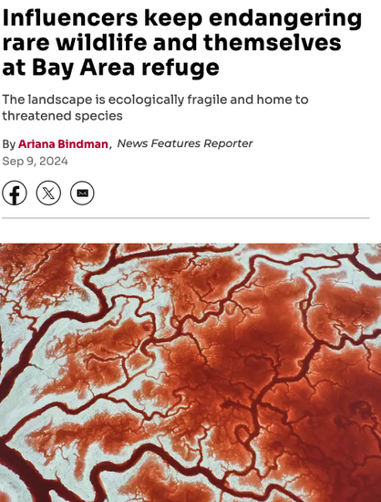 Screenshot of SF Gate Article with headline: "Influencers keep endangering rare wildlife and themselves at Bay Area refuge"