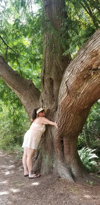 My friend, Skye, hugging the giant old growth redwood tree.
