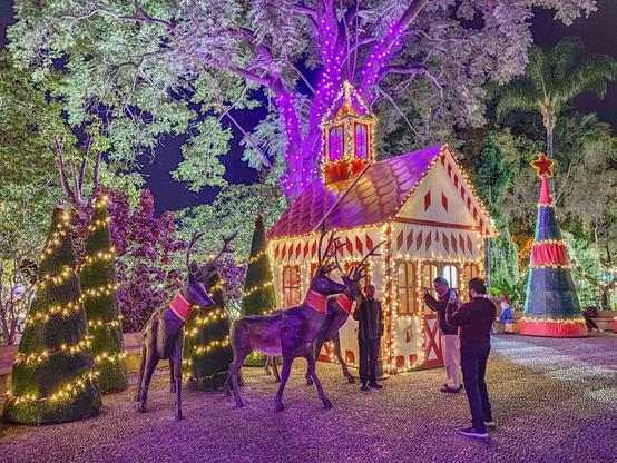 Das Bild zeigt ein quietschbunt beleuchtetes Pfefferkuchenhaus samt Rentieren und weihnachtlich geschmückten Bäumen drumherum in einem Stadtpark in Funchal abends. Vor den Rentieren ein paar fotografierende Touristen.