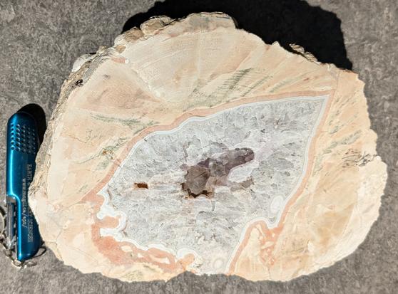 A cavity within a pale brown volcanic rock has been filled with the mineral quartz; the center of the cavity is still open, surrounded by faceted quartz crystals.