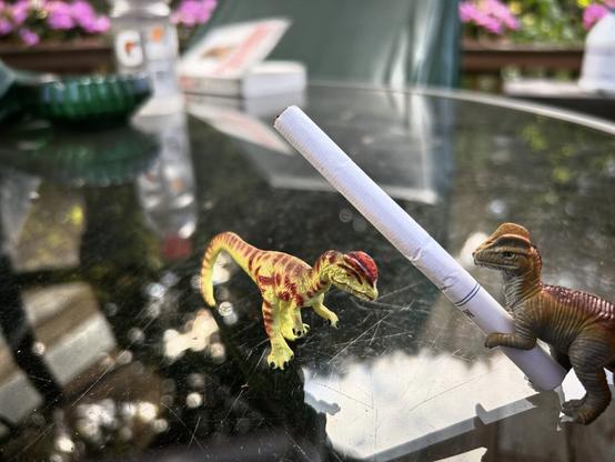 A green Dilophosaurus with brown spots meets another Dilophosaurus that is grey and brown and offering them a cigarette on a glass table.