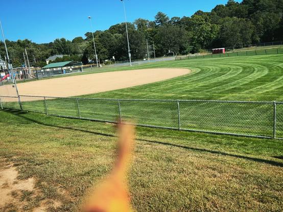 A blurry Dilophosaurus staring at an empty baseball field in late summer.