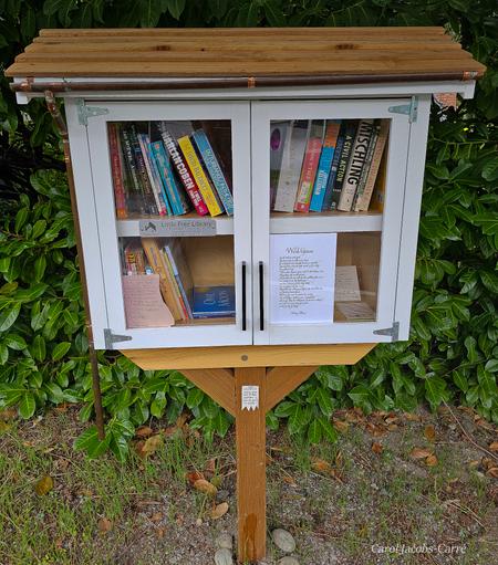 The Little Free Library box in this photo set is built of cedar painted white. The double door has elegant black cabinet handles. The roof is made of nice bare cedar boards. There is a copper pipe gutter running along the top front of the building, with a downspout on the left. A poem by a young person is taped on the left panel.  It reads: Sand on the sea-shore, starfish singing--Wonderful waves, wonder is wanting—Calm clams, climing in the sun—Two more things and then will be done---seahorses sliding thru the silinte sea---halabits happy as can be!  The Sea, by Sophia Grigor Lunas.