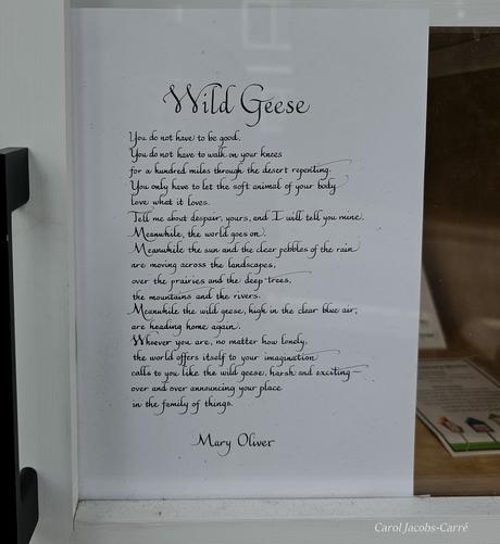 The other side panel has a poem, Wild Geese, by Mary Oliver, read by her in this YouTube video
https://youtu.be/1IiylWR2orE&?si=aN8cBNl_eqk-xtVp
