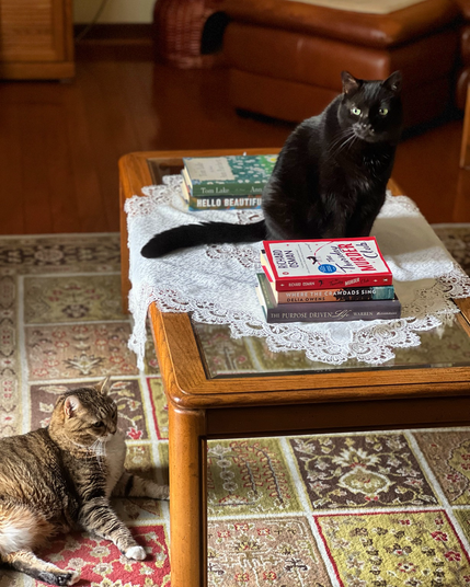 One cat sitting on top of a coffee table, another sitting on the floor