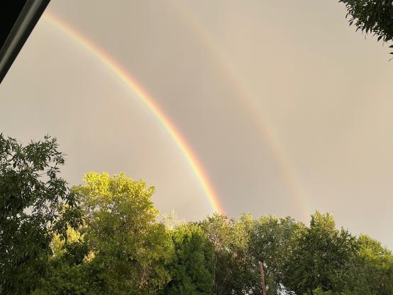A double rainbow crosses a gray sky above trees. The very tops of some of the trees are in sunshine.