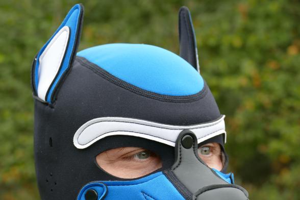 Pup Byte's face in zoom