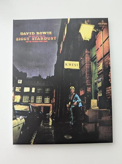 The front cover of the Blu Ray album copy of David Bowie's Ziggy Stardust and the Spiders from Mars. 

It shows David Bowie and a blue jumpsuit, guitar slung over his shoulder, standing outside a red brick building with a green door, his foot resting on a stack of cardboard boxes.