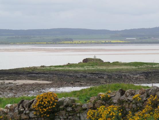 A view across a strip of shallow sea, interrupted by sandbanks, from Lindisfarne to the mainland coast of Northumberland, with hazy, blue-green hills and gleaming strips of yellow oil seed in flower. In the near foreground is a stone wall, covered in yellow flowers, and a grassy bank down to the shore. Between the two is Hobthrush Island, a low, grassy knoll with a grey shore of rocks and a small, wooden cross erected on it.