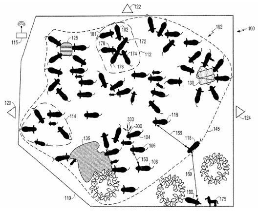 Schematic top view of a herd of cattle, with dotted lines enclosing different social subgroups.