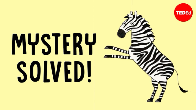 Una zebra