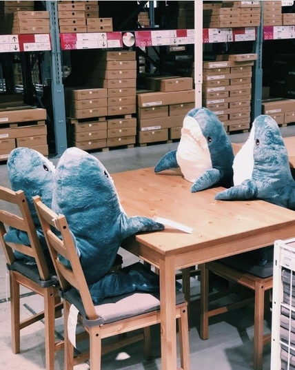 4 BLÅHAJ siting around a table in the middle of the Ikea wear house