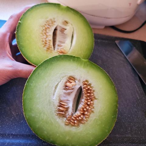 Galia cantaloupe melon, sliced into 2 halves, on black cutting board. Flesh is light green with lots of seeds in the centre. I'm holding up one of the slices, the one behind slice in the foreground.