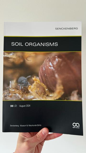 Me holding up a copy of Soil Organisms journal, featuring my photo of a black globular springtail interacting with the head end of an earthworm.