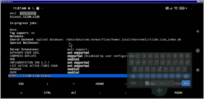 View of an android phone running a terminal application. The application is showing the account details of an nntp/Usenet connection.