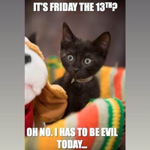 Meme with a cute little black kitten with big eyes and says "It's Friday the 13th? Oh no. I has to be evil today..."