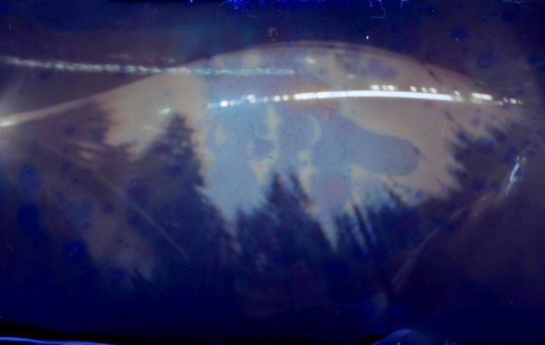 Dark blueish solargraph with dark silhouetted trees and a white sun trail burned into the image with one trail looking like dashes.