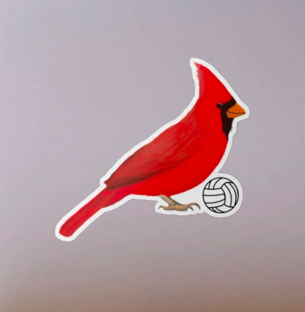 Our cardinal mascot is playing volleyball, shown on a sticker.
