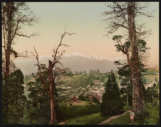 The image depicts a serene landscape scene, likely from the early 20th century, as suggested by the style of the trees and vegetation. It features a mountainous area with what appears to be a village nestled in the valley below. There is a prominent mountain range in the background under a lightly clouded sky, suggesting an evening or morning time. The vegetation consists mainly of coniferous trees and shrubbery, indicating that this might be a colder climate zone. The image has a vintage feel to it due to its composition and the subject matter. There is no visible human activity in the scene, giving it a tranquil and undisturbed atmosphere.