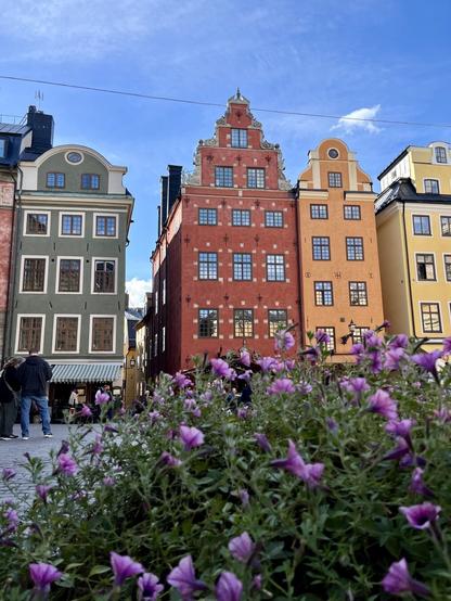 A view of colorful historic buildings in a city square, featuring pink flowers in the foreground and a clear blue sky. People are gathered in the area, enjoying the vibrant atmosphere.
