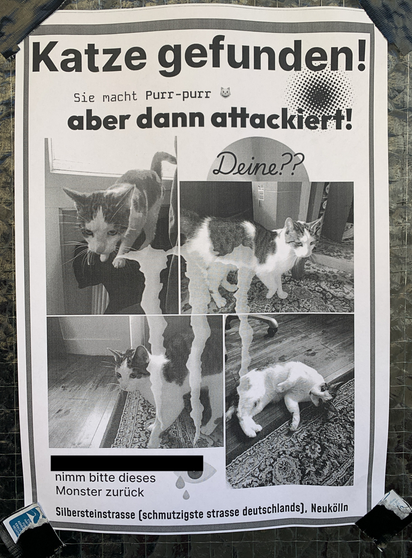 German note on a wall with four images of a cute tabby and white cat. Text:
Katze gefunden! Sie macht Purr-purr aber dann attackiert! Deine?? Nimm bitte dieses Monster zurück. Silbersteinstrasse (schmutzigste Strasse Deutschlands), Neukölln.