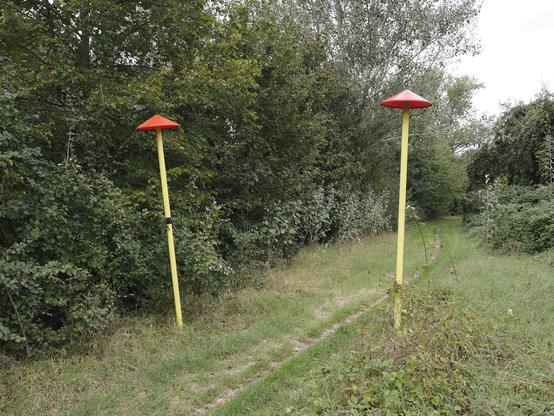 Along a path in the forest: two “paline” (yellow poles 2m/7feet high with a red conical head stopper) signaling a gas pipe underneath.
