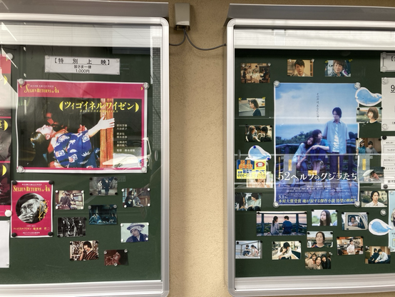 ツィゴイネルワイゼン #原田芳雄 #大谷直子 #樹木希林　52ヘルツのクジラたち #成島出 #杉咲花 #志尊淳 #町田そのこ