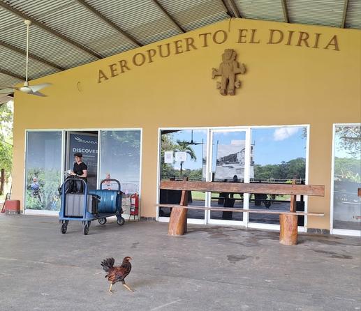 À very small airport, a chicken is patching between the benches