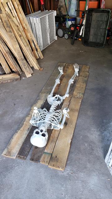 5' skeleton laying on boards to get the size needed for the prop right.