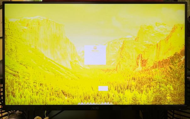 Running my PC with in demo mode with Elementary OS Linux. Something is not right as the screen is out of color space and looks blown out and bright yellow and none of the text can be easily read. I am not sure what happened!