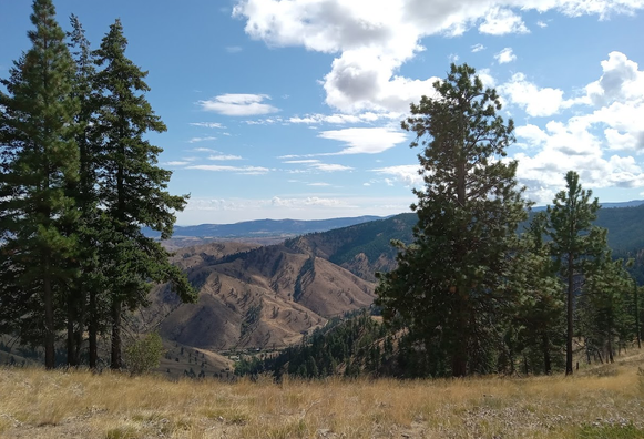 photo of mountain scene under a big sky with some beautiful clouds there are coniferous trees on the left and right and dry brown grasses in the foreground below