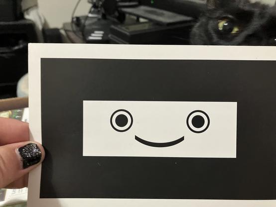 A Kinect sensor card posing with a black cat