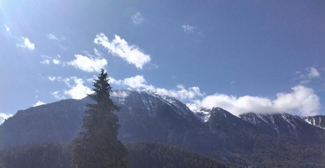 Foto einer Bergkette mit leichter Bewölkung um die Bergspitzen aber ansonsten blauer Himmel. Im oberen Bereich der Berge liegt etwas schnee, darunter ist es grün.
Im Vordergrund steht ein großer Thujenbaum.