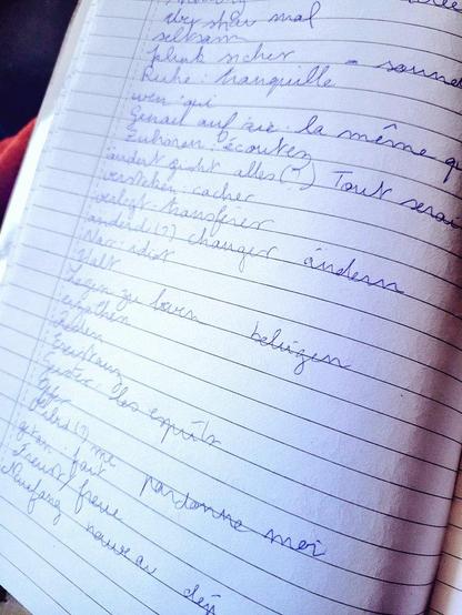 A list of words handwritten with a blue ball pen on a lined paper notebook