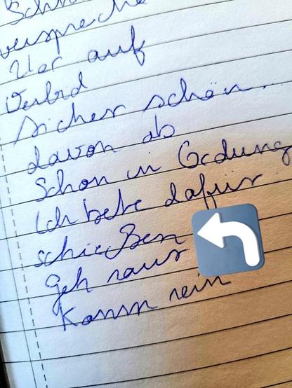 Handwritten ß