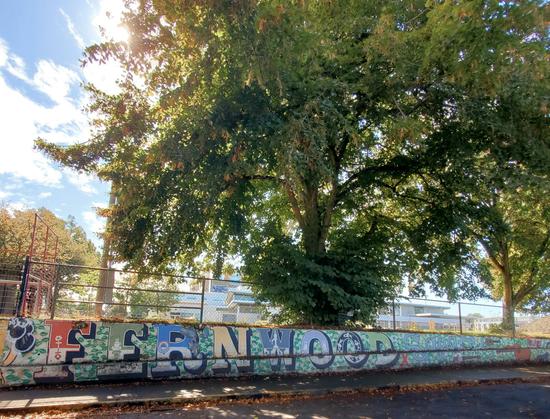 Art mural on cement wall below high school fences with giant chestnut trees.
Art mural text reads: FERNWOOD Square.
Sidewalk & street below mural.
Sunny day.