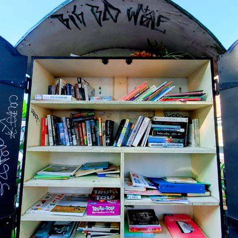 Looking inside little free library. Shelves with assorted books, board game & kids' flash cards for learning.