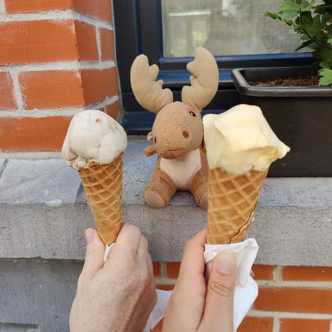 Mr Moose sitting on a window sill next to a flower pot, about to attack the coffee banana icecream (left) and passion fruit icecream (right) cones behind held by his humans