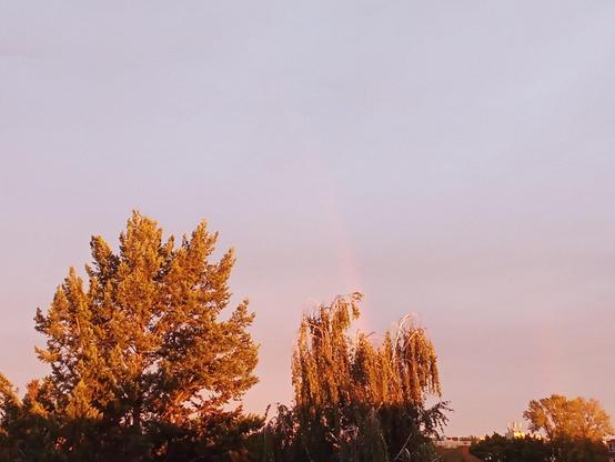 Ein bisschen Regenbogen.