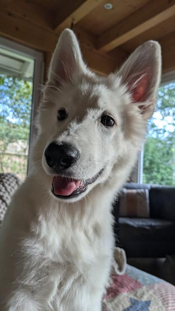 Jussi looking to the Camera