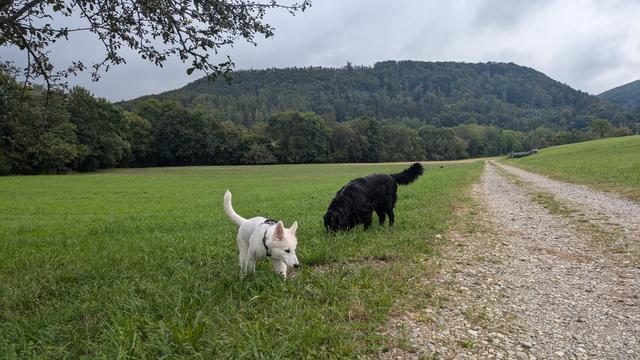 Jussi and Emil doing walkies.