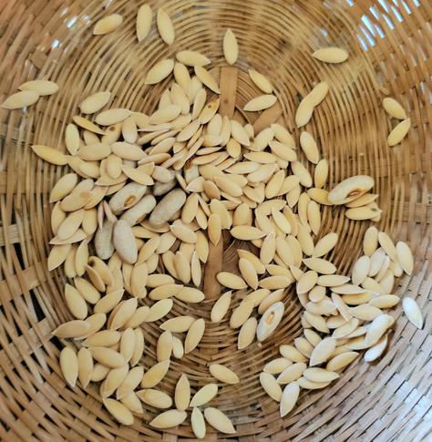 Dried galia cantaloupe seeds in weaved basket.