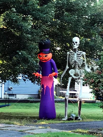 Halloween decorations, taller than an adult human, in a yard. On the  left is a fellow with a jack-o'-lantern head, top hat, and purple robes; on the right is an even taller skeleton.