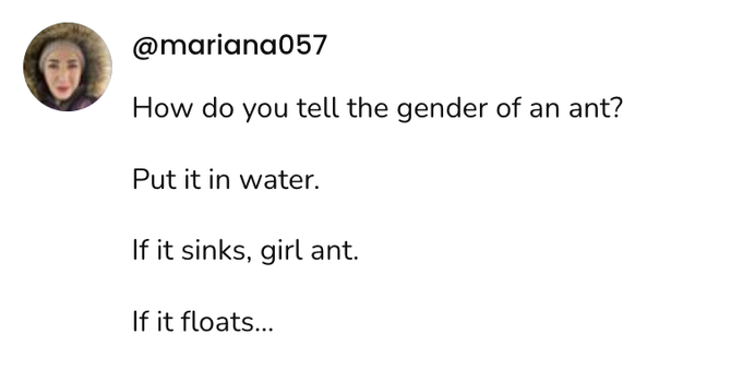 A social post from @mariana057 that says: How do you tell the gender of an ant? Put it in water. If it sinks, girl ant. If it floats...
